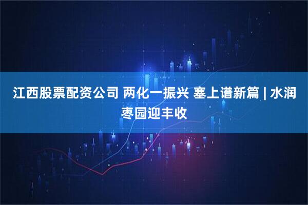 江西股票配资公司 两化一振兴 塞上谱新篇 | 水润枣园迎丰收